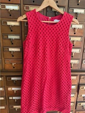 CALVIN KLEIN Womans Lined Pink Eyelet Sheath Dress w/gold zipper Size 8